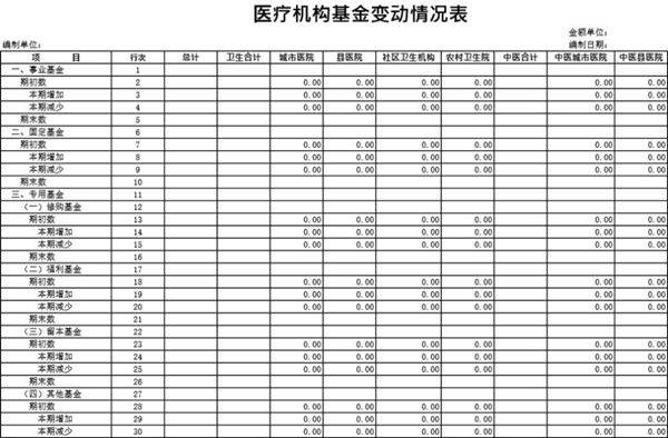 医疗机构基金变动情况表模板