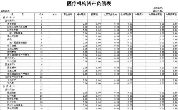 医疗机构资产负债表模板