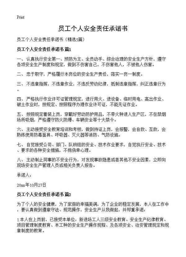 员工个人安全责任承诺书5篇