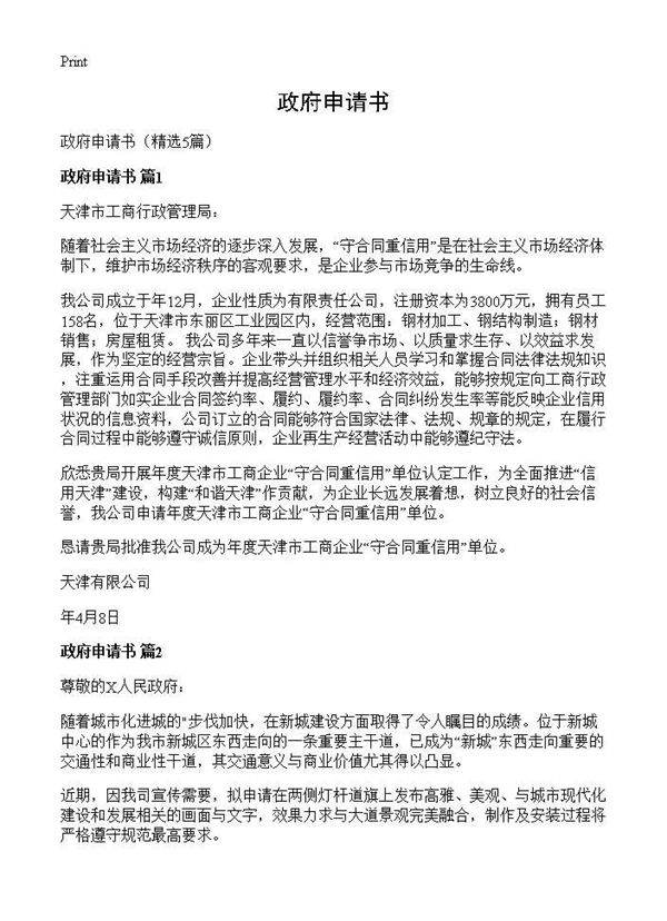 政府申请书5篇