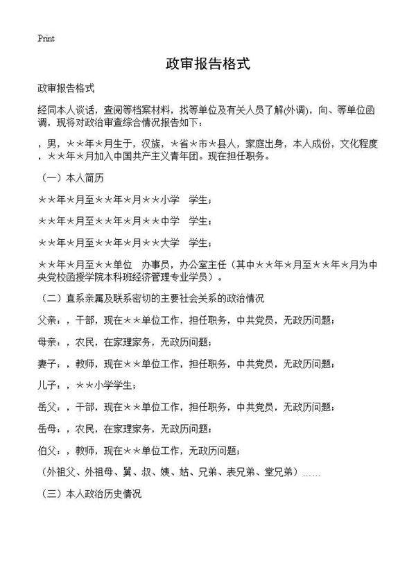 政审报告格式