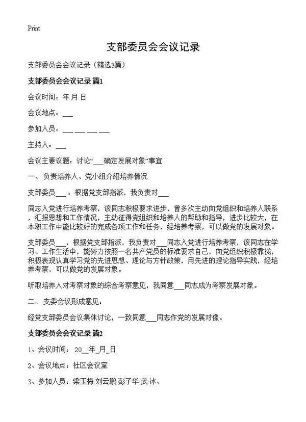支部委员会会议记录3篇