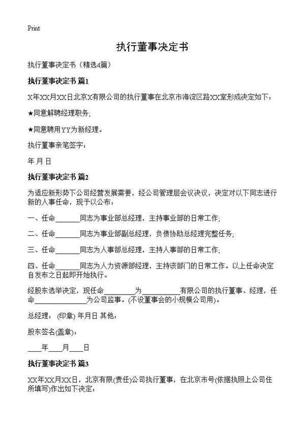 执行董事决定书4篇