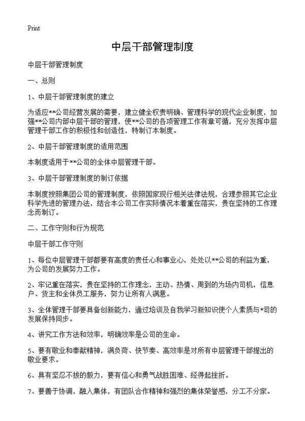 中层干部管理制度