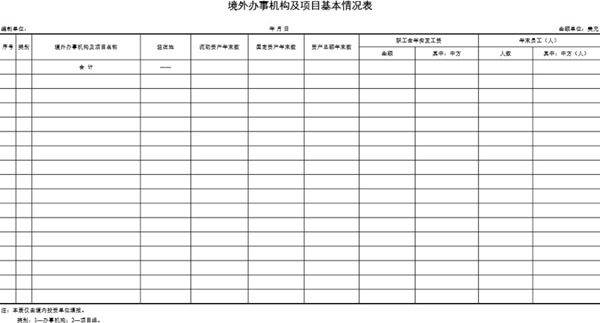 境外办事机构及项目基本情况表模板
