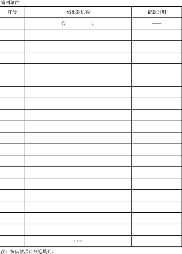 境外外汇借款情况表模板
