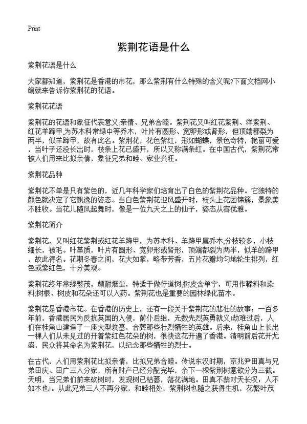 紫荆花语是什么