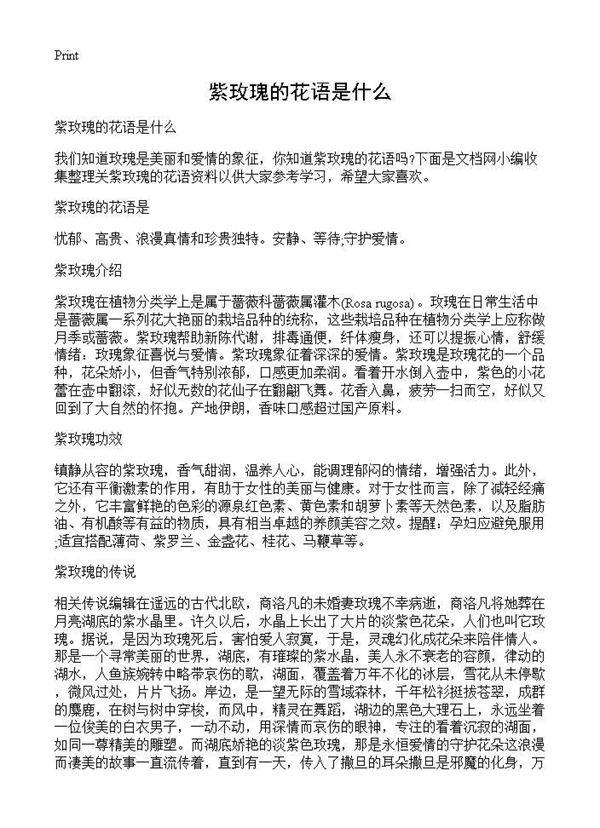 紫玫瑰的花语是什么