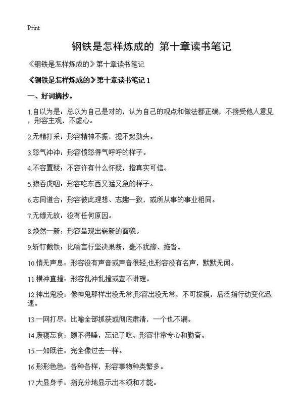 《钢铁是怎样炼成的》第十章读书笔记