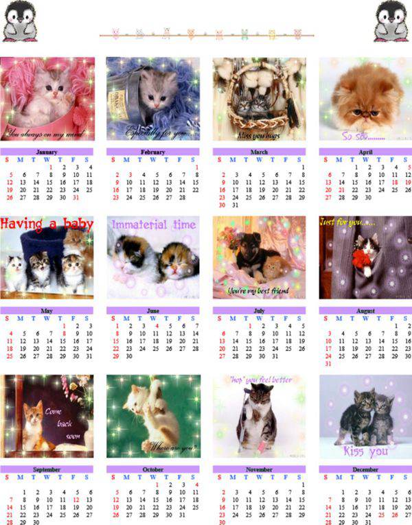 宠物年历模板
