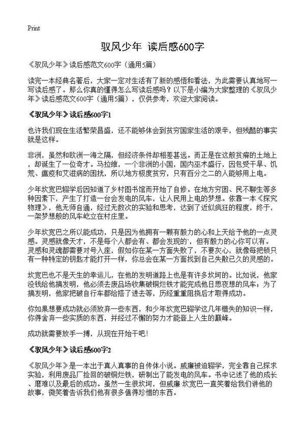 《驭风少年》读后感600字5篇