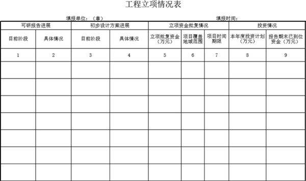工程立项情况表模板