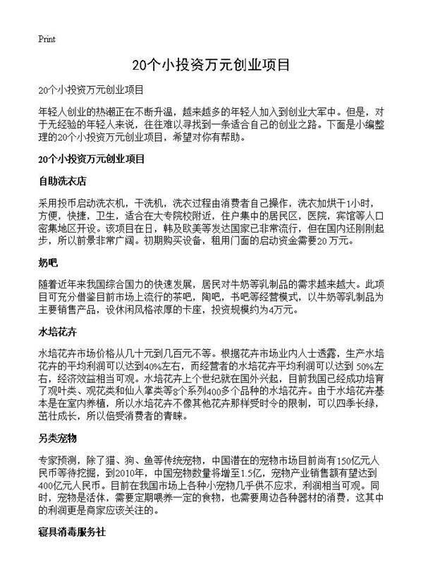 20个小投资万元创业项目