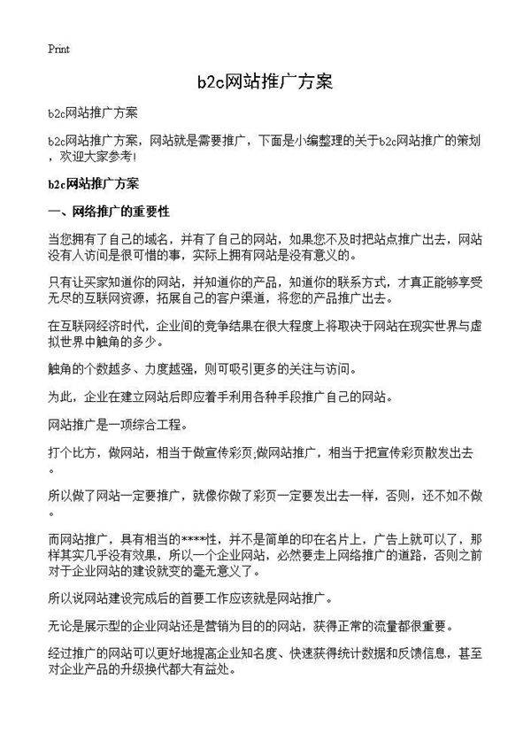 b2c网站推广方案
