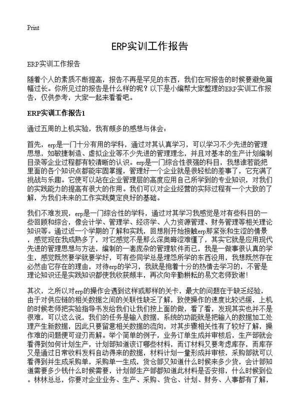ERP实训工作报告