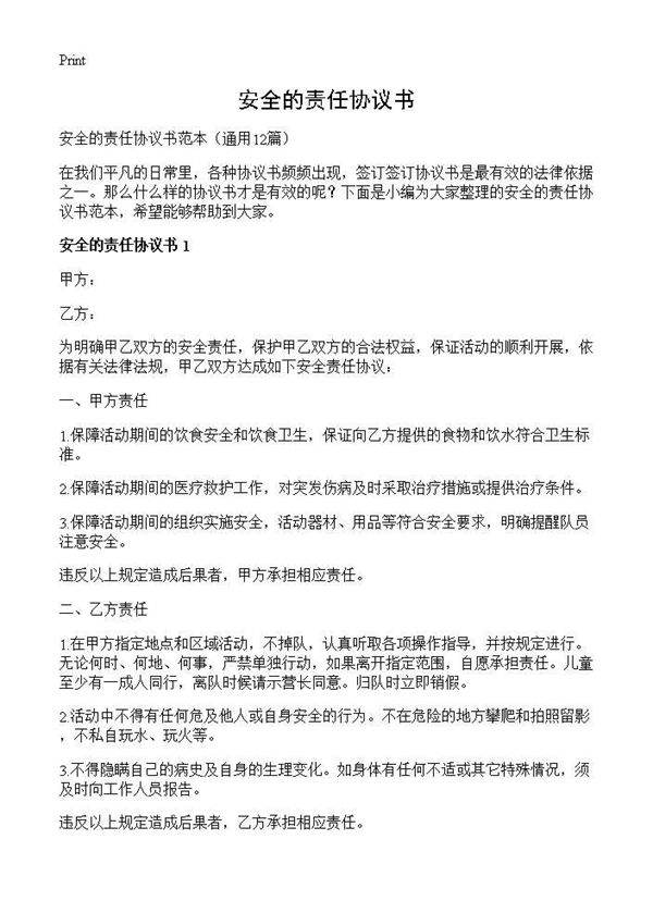 安全的责任协议书12篇