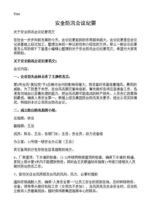 安全防汛会议纪要