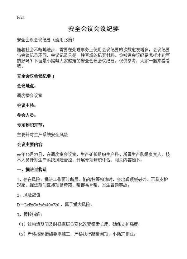 安全会议会议纪要15篇