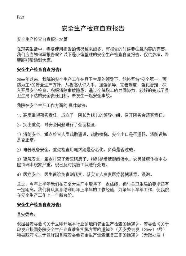 安全生产检查自查报告