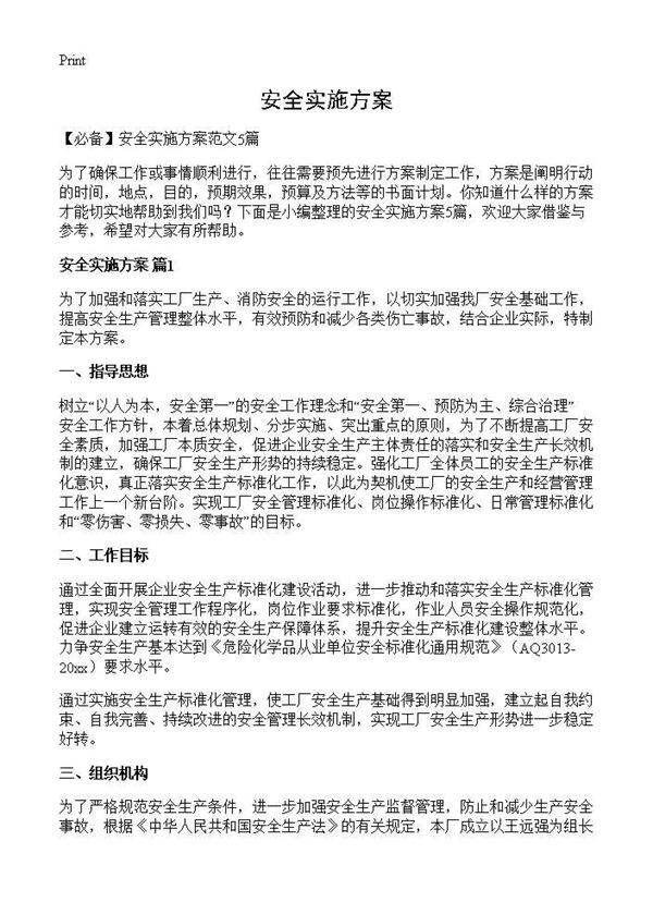安全实施方案