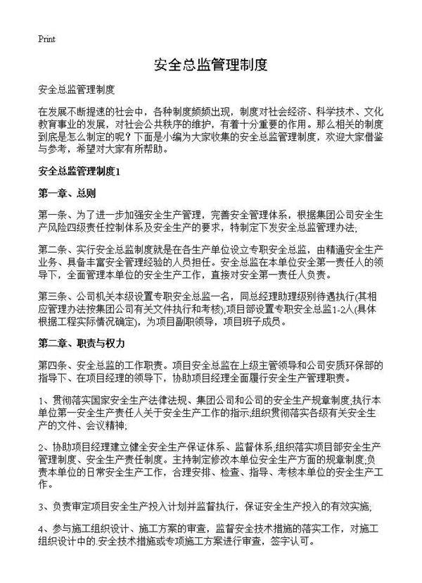 安全总监管理制度