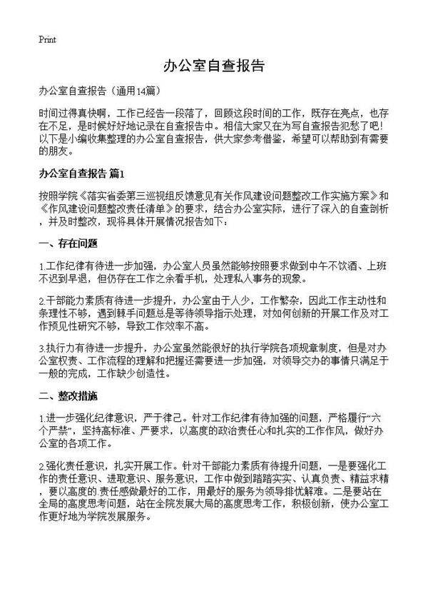 办公室自查报告14篇