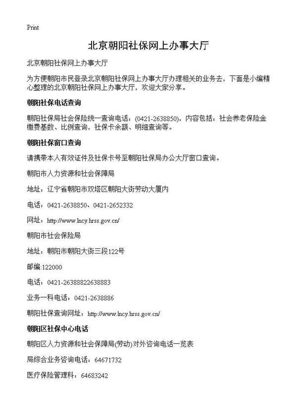 北京朝阳社保网上办事大厅