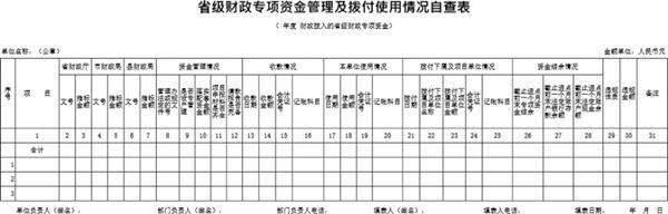 省级财政专项资金管理及拨付使用情况自查表模板