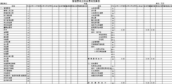 管理费用及财务费用预算表模板