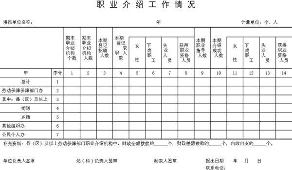 职业介绍工作情况表模板