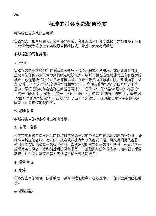 标准的社会实践报告格式
