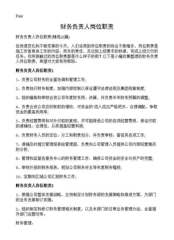财务负责人岗位职责20篇