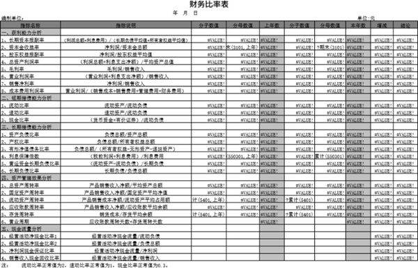 财务比率表模板