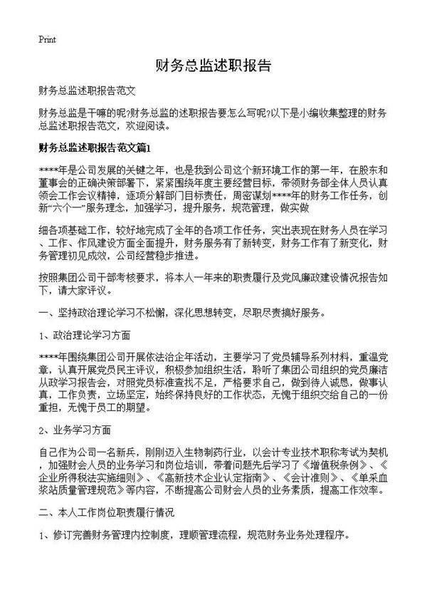 财务总监述职报告