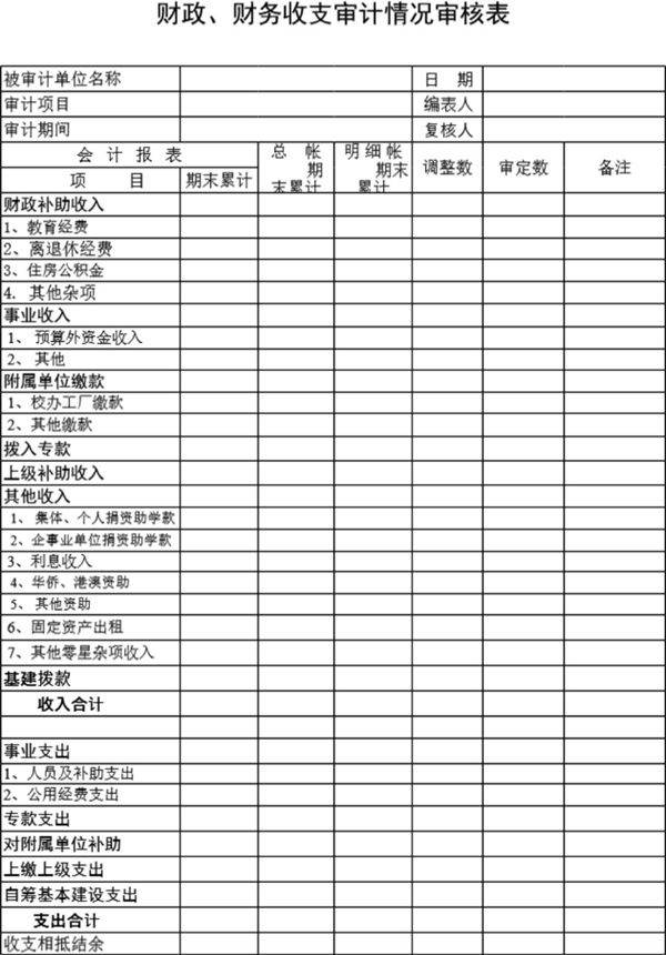 财政 财务收支审计情况审核表模板