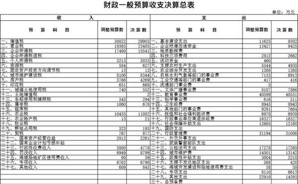 财政一般预算收支决算总表模板