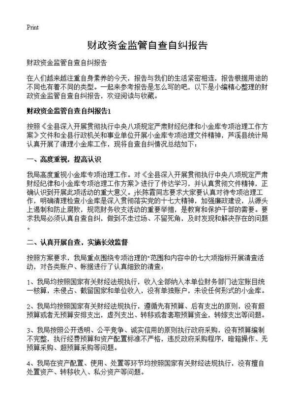 财政资金监管自查自纠报告