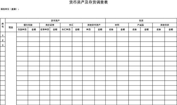货币资产及存货调查表模板
