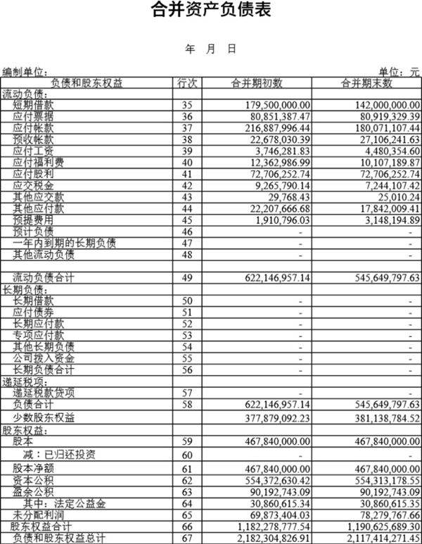 资产负债表4模板