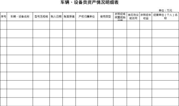 车辆 设备类资产情况明细表