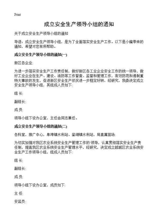 成立安全生产领导小组的通知