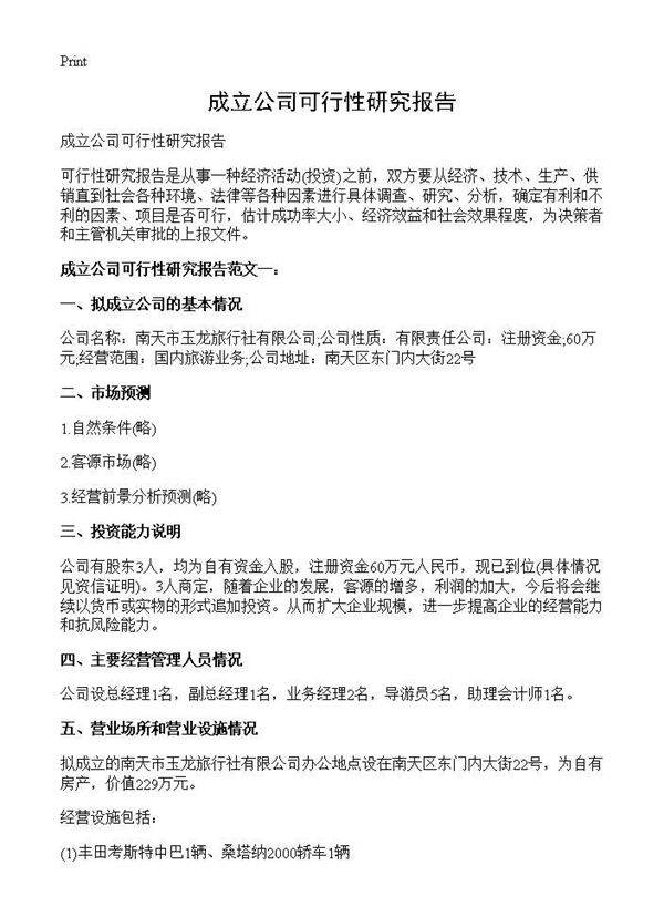 成立公司可行性研究报告