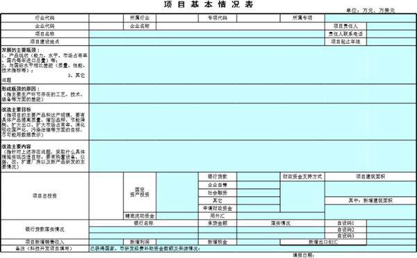 项目基本情况表模板