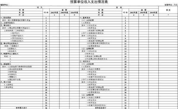 预算单位收入支出情况表模板