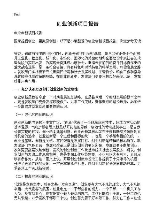 创业创新项目报告