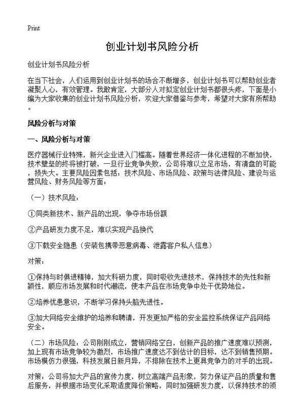 创业计划书风险分析