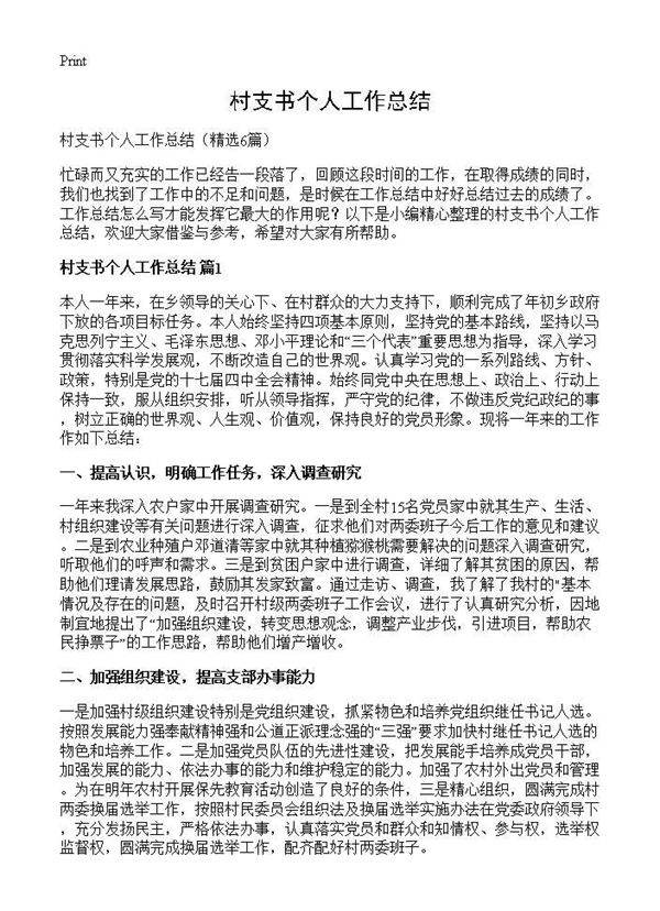 村支书个人工作总结6篇