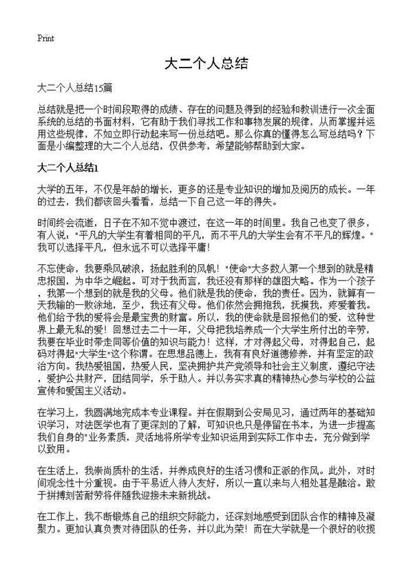 大二个人总结