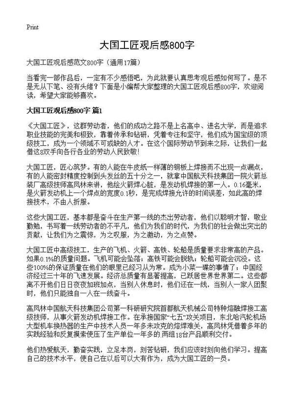 大国工匠观后感800字17篇