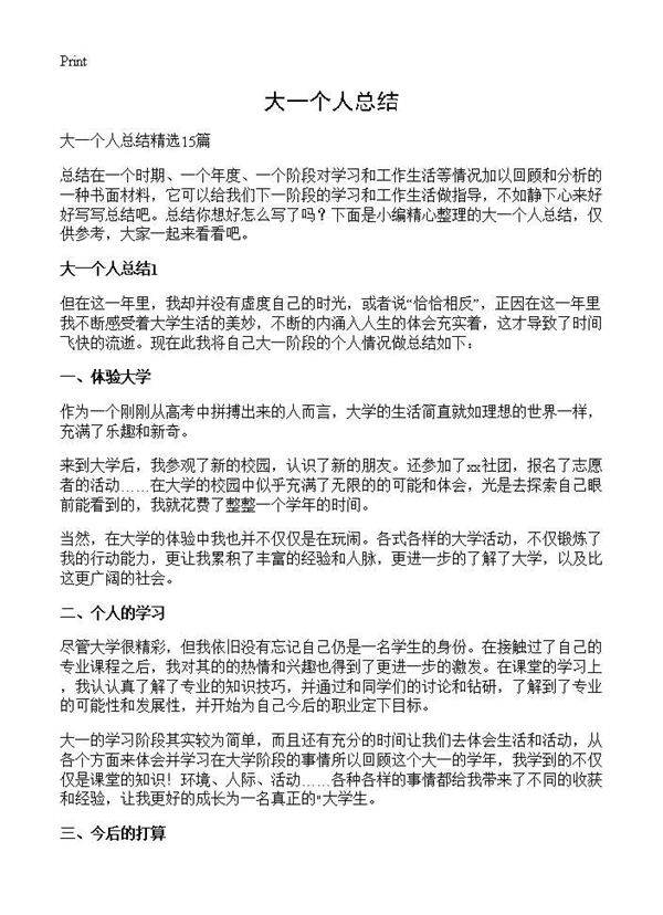 大一个人总结